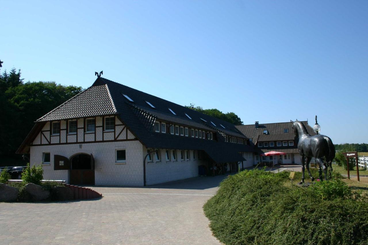 Stoertebeker Appartements - "Stoertebeker Pferdehof" ラルスヴィーク エクステリア 写真